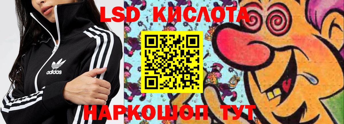 кракен сайт  ЛСД экстази  LSD-25 экстази кислота  Знаменск  Вход с VPN  ЛСД экстази ecstasy 