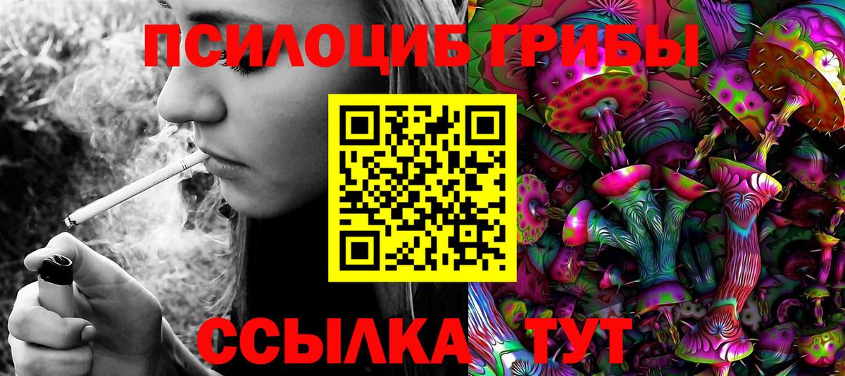 Псилоцибиновые грибы GOLDEN TEACHER Знаменск