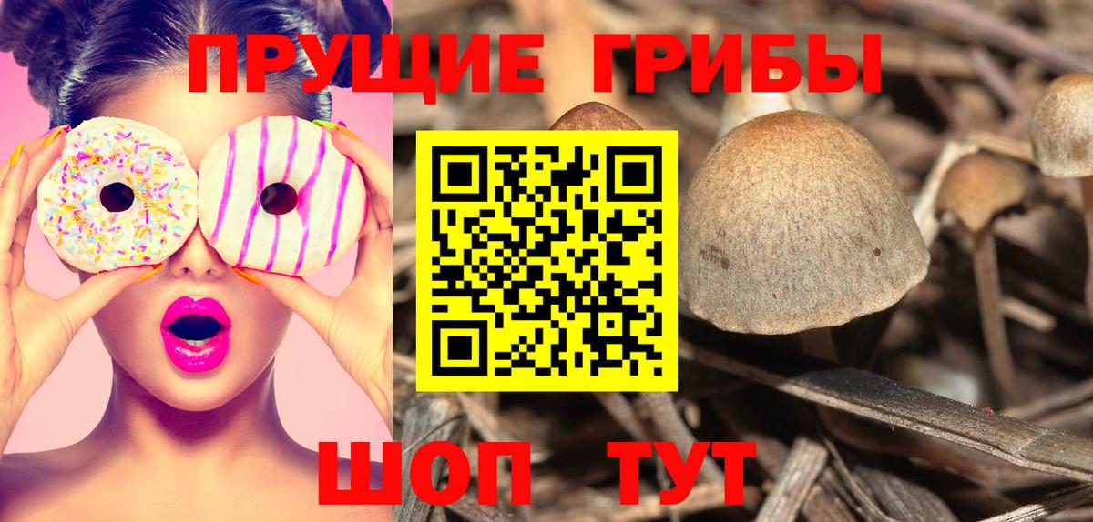 МЕТАДОН Знаменск